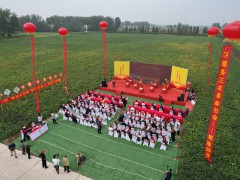 辉隆股份：点亮皖北农业丰收路，破解增产密码