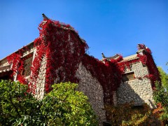 甘肃张掖：丹霞口秋色斑斓